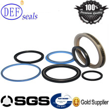 Teflon Spring Energized Seals Loaded Seals for Srtandard Cylinder